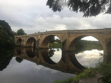 Serene Kielder Ormanı ve göl manzarası, kozalaklı ağaçlar üzerinde yükselen sis ve sonbahar güneşinde sakin bir su deposu..