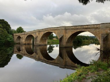 Serene Kielder Ormanı ve göl manzarası, kozalaklı ağaçlar üzerinde yükselen sis ve sonbahar güneşinde sakin bir su deposu..