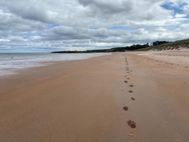 Kuzey Berwick yakınlarındaki engebeli Doğu Lothian kıyı şeridi kayalık çıkıntılar, kumlu körfezler ve Forth Firth of Forth 'taki ikonik Bass Rock ile.