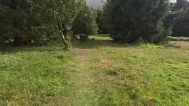 Doğu Lothian 'daki eski bir yaprak ormanı olan Binning Ormanı' nda yürümek zengin yeşillikler, vahşi yaşam ve huzurlu orman yolları sergiliyor.