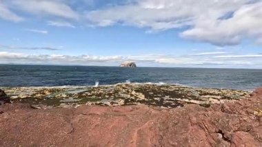 Seacliff ve Ravensheugh Kumları 'ndaki kumlu plajlı Car Rocks ve Sccoughall Kayalıkları' ndaki engebeli kıyı şeridi, İskoçya 'nın vahşi kıyılarının dramatik uçurumları ve sakin kıyılarını gözler önüne seriyor.