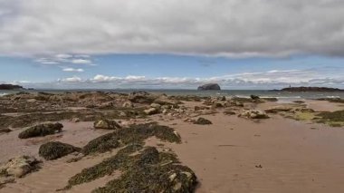 Seacliff ve Ravensheugh Kumları 'ndaki kumlu plajlı Car Rocks ve Sccoughall Kayalıkları' ndaki engebeli kıyı şeridi, İskoçya 'nın vahşi kıyılarının dramatik uçurumları ve sakin kıyılarını gözler önüne seriyor.