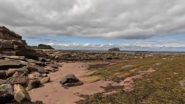 Seacliff ve Ravensheugh Kumları 'ndaki kumlu plajlı Car Rocks ve Sccoughall Kayalıkları' ndaki engebeli kıyı şeridi, İskoçya 'nın vahşi kıyılarının dramatik uçurumları ve sakin kıyılarını gözler önüne seriyor.