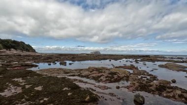 Seacliff ve Ravensheugh Kumları 'ndaki kumlu plajlı Car Rocks ve Sccoughall Kayalıkları' ndaki engebeli kıyı şeridi, İskoçya 'nın vahşi kıyılarının dramatik uçurumları ve sakin kıyılarını gözler önüne seriyor.