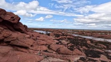 Seacliff ve Ravensheugh Kumları 'ndaki kumlu plajlı Car Rocks ve Sccoughall Kayalıkları' ndaki engebeli kıyı şeridi, İskoçya 'nın vahşi kıyılarının dramatik uçurumları ve sakin kıyılarını gözler önüne seriyor.