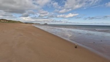 Doğu Lothian 'daki Ravensheugh Kumsalı' nda yürümek kumlu kıyıları, yumuşak dalgaları ve yaz gökyüzünün altındaki kıyı manzarasını gözler önüne sermek.