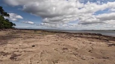 Tyne Sands boyunca yürümek, geniş kumlu kumsalları, deniz dalgalarını ve parlak bir yaz gününde kıyı manzarasını yakalamak.