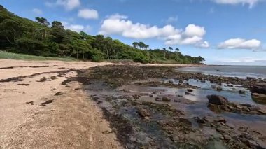 Tyne Sands boyunca yürümek, geniş kumlu kumsalları, deniz dalgalarını ve parlak bir yaz gününde kıyı manzarasını yakalamak.