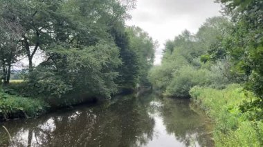 Tyne Nehri 'nin orman kıyıları boyunca doğal nehir manzarasını, ağaçları, suyu ve huzurlu ormanlık alanı gösterir.