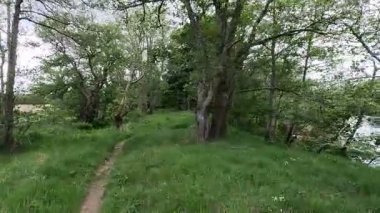 Spey 'in nehir kenarlarında akan sular, kiremit kıyıları, yemyeşil ormanlar, vahşi yaşam aktiviteleri ve sakin Highland manzarası..