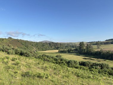 Uçsuz bucaksız tepeleri, geniş vadileri, tarlaları, kırsal arazileri ve sakin kırsal manzaraları olan İskoç sınırlarında aydınlık yaz gökyüzü altında. İskoçya