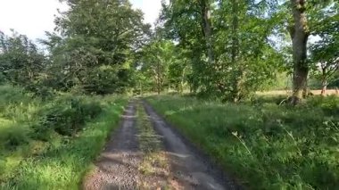 Lammermuir Tepeleri, İskoç Sınırları 'nda tepe yürüyüşü. Geniş bozkırlar, dalgalı yamaçlar ve açık yaz gökyüzü altında panoramik manzaralar.