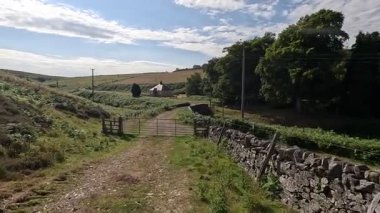Lammermuir, İskoç sınırlarındaki Boyalı Kulübe 'nin önünden geçiyorum. Bu uzak konut, Boyalı Su 'nun yanında uzanır. Manzaralı manzaralar sunar ve kırsal kesimlere bir göz atar. Yuvarlanan tepeler arasında.. 