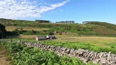 Lammermuir, İskoç sınırlarındaki Dunside Cottage 'ın yanından geçiyorum. Bu ücra arazi manzarası ve kayan tepelerin ortasındaki kırsal yaşama bir bakış sunuyor.. 