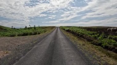 Lammermuir Tepeleri 'nde otlayan koyunlar, İskoç sınırlarında geleneksel tarım manzaralarını sergiliyor. Kırlık araziler, dağınık sürüler ve geniş gökyüzü..