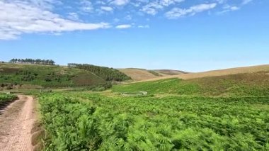 Lammermuir Tepeleri 'nde, İskoç sınırlarında bir taş çemberin yanından geçerken geniş kırlık araziler ve panoramik yaz manzaraları arasında tarih öncesi anıtlar sergileniyor..