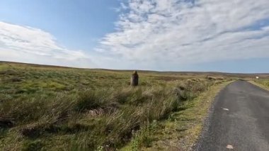 Lammermuir Tepeleri 'nde küçük bir anıt taşın yanından geçerken, İskoç sınırlarında, sakin bozkırları, dalgalanan yamaçları ve açık yaz havası altında geniş gökyüzünü yakalıyoruz..