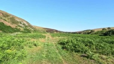Lammermuir Tepeleri, İskoç Sınırları 'nda tepe yürüyüşü. Geniş bozkırlar, dalgalı yamaçlar ve açık yaz gökyüzü altında panoramik manzaralar..