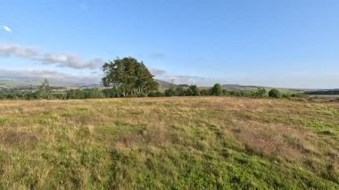 Lammermuir Tepeleri, İskoç Sınırları 'nda tepe yürüyüşü. Geniş bozkırlar, dalgalı yamaçlar ve açık yaz gökyüzü altında panoramik manzaralar..