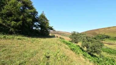 Lammermuir Tepeleri, İskoç Sınırları 'nda tepe yürüyüşü. Geniş bozkırlar, dalgalı yamaçlar ve açık yaz gökyüzü altında panoramik manzaralar..