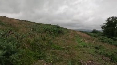 Batı Lothian 'ın tepelerinde ve kırsallarında yürürken, açık otlak yamaçlar, kır çiçekleri ve berrak gökyüzünün altında huzurlu kırsal alanlar.