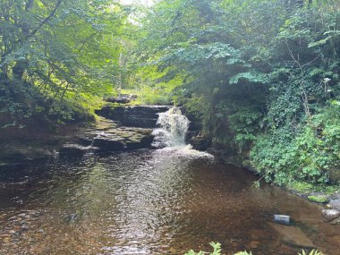 Carlops yakınlarındaki Habbies Howe 'da Peggys Havuzu, yazın sakin bir ormanlık havuz, Allan Ramsays İskoç şiiri