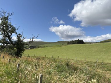 İskoçya 'da açık arazileri ve uzak tepeleri olan Pentland Hills' in yanında yaz kırsalında