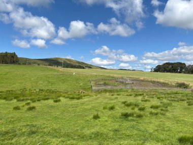 İskoçya 'da açık arazileri ve uzak tepeleri olan Pentland Hills' in yanında yaz kırsalında