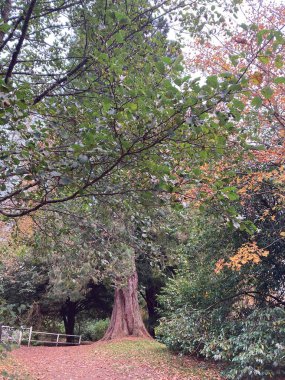 Inverness 'teki Ness Adaları ve Bught Park Viktorya döneminden kalma yaya köprüleri, ağaçlık yollar ve aile dostu aktivitelerle sakin bir nehir kenarı kaçışı sunuyor.