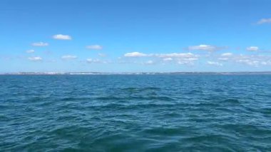 Tekne bazlı yunuslar Lagos, Portekiz 'i izliyor, yay dalgaları ve denizdeki eğlenceli deniz sahnelerini çeken vahşi yunusları yakalıyorlar.