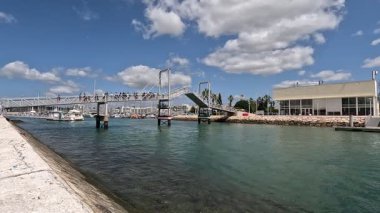 Tekne bazlı yunuslar Lagos, Portekiz 'i izliyor, yay dalgaları ve denizdeki eğlenceli deniz sahnelerini çeken vahşi yunusları yakalıyorlar.