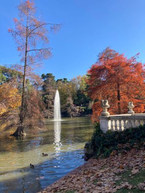 İspanya: Madrids caddelerinin ve binalarının şehir manzarası, kentsel mimari, sokak yaşamı ve atmosferik şehir manzarasını canlı bir şehir ortamında yakalıyor.
