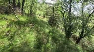 İskoçya: Kırsal kesim, Pentland Hills bölgesindeki tarlalar, tepeler ve açık araziler boyunca yürüyor.