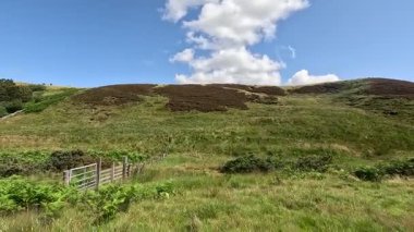 İskoçya: Kırsal kesim, Pentland Hills bölgesindeki tarlalar, tepeler ve açık araziler boyunca yürüyor.
