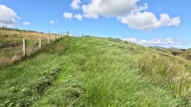 İskoçya: Kırsal kesim, Pentland Hills bölgesindeki tarlalar, tepeler ve açık araziler boyunca yürüyor.