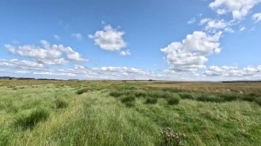 İskoçya: Kırsal kesim, Pentland Hills bölgesindeki tarlalar, tepeler ve açık araziler boyunca yürüyor.