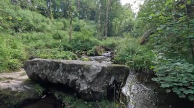 İskoçya: İskoç sınırlarındaki Habbies Howe 'da yürümek, ormanlık vadisi, kayalık vadisi ve Pentland Hills' in ötesindeki ormanlık bir vadi.