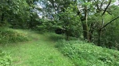 İskoçya: İskoç sınırlarındaki Habbies Howe 'da yürümek, ormanlık vadisi, kayalık vadisi ve Pentland Hills' in ötesindeki ormanlık bir vadi.