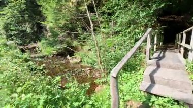 İskoçya: İskoç sınırlarındaki Habbies Howe 'da yürümek, ormanlık vadisi, kayalık vadisi ve Pentland Hills' in ötesindeki ormanlık bir vadi.