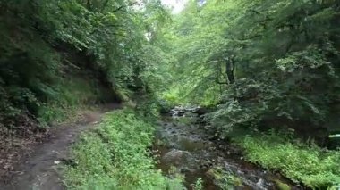 İskoçya: İskoç sınırlarındaki Habbies Howe 'da yürümek, ormanlık vadisi, kayalık vadisi ve Pentland Hills' in ötesindeki ormanlık bir vadi.