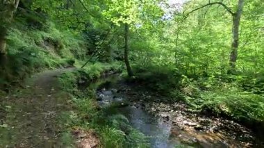 İskoçya: İskoç sınırlarındaki Habbies Howe 'da yürümek, ormanlık vadisi, kayalık vadisi ve Pentland Hills' in ötesindeki ormanlık bir vadi.