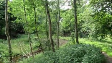 İskoçya: İskoç sınırlarındaki Habbies Howe 'da yürümek, ormanlık vadisi, kayalık vadisi ve Pentland Hills' in ötesindeki ormanlık bir vadi.