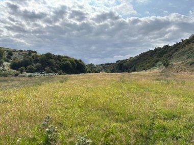 İskoçya: Geniş gökyüzü altında kayan Doğu Lothians tarlalarının ve tepelerin Pastoral genişliği, kırsal dinginliği ve canlı mevsimsel renkleri yakalıyor.