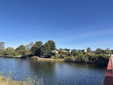 Bright sunlit views of Rothoffs Colony area in Landskrona Sweden featuring historic allotment garden sheds vegetable patches flower arrangements and surrounding fortress walls.