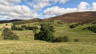 First-person view hillwalking trail in the Lammermuir Hills of Scotland, traversing open moorland, purple heather, sheep-grazed pastures, winding burns, and upland ridges with reservoirs in the distance under clear skies.