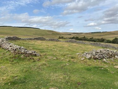 İskoç sınırlarında açık arazide yerleştirilmiş dik çember taşları, koyun otlaklarına tepeden bakan, sarmal vadi, fundalık kaplı fundalıklar ve açık gökyüzü ile dağlık yaylalar..