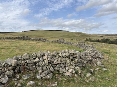 İskoç sınırlarında açık arazide yerleştirilmiş dik çember taşları, koyun otlaklarına tepeden bakan, sarmal vadi, fundalık kaplı fundalıklar ve açık gökyüzü ile dağlık yaylalar..