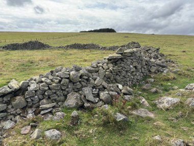 İskoç sınırlarında açık arazide yerleştirilmiş dik çember taşları, koyun otlaklarına tepeden bakan, sarmal vadi, fundalık kaplı fundalıklar ve açık gökyüzü ile dağlık yaylalar..