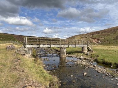 Koyun otlağı otlakları, mor fundalık yamaçlar, dolambaçlı yollar ve berrak gökyüzü ile yükseltilmiş tepeler arasında akan su üzerinde basit bir açıklık içeren, İskoç Sınır Tepeleri 'nin açık arazisinde tahta yaya köprüsü yanar..