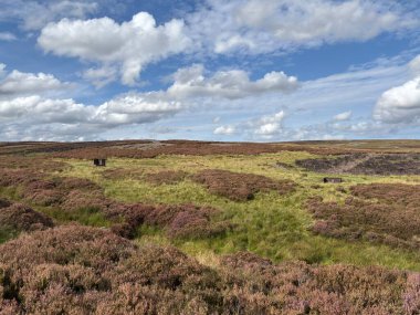İskoçya 'daki Hudut Tepeleri üzerindeki manzaralar fundalık, koyun otlağı, nehir vadileri, katmanlı tepeler ve kırsal arazi üzerindeki açık gökyüzü ile kaplıdır..